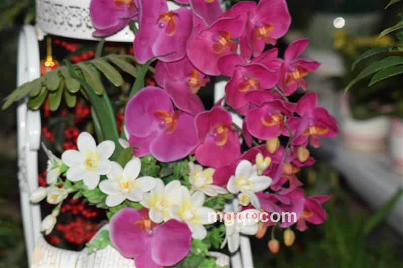 roctong的第2张照片