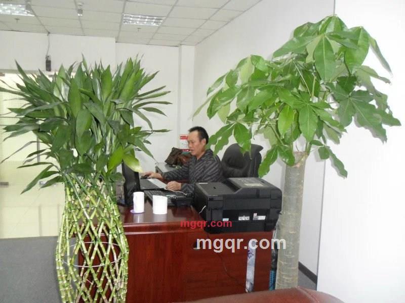 蚁尔康的第4张照片