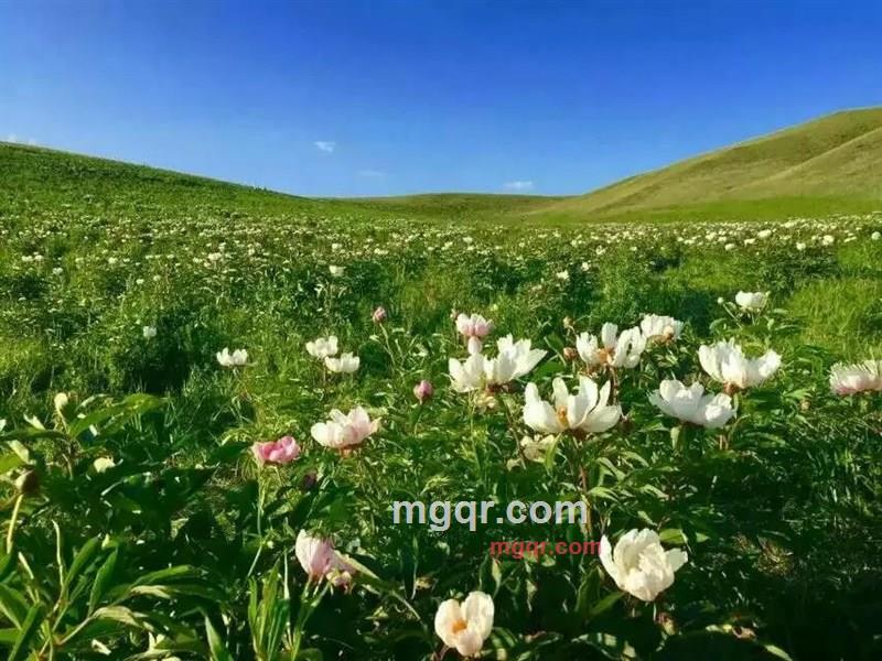 无事溜达的第1张照片