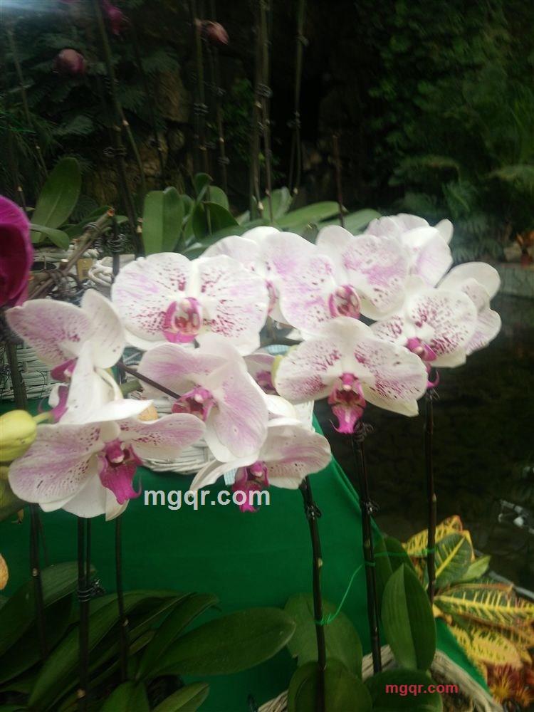 乐乐乐乐2的第1张照片