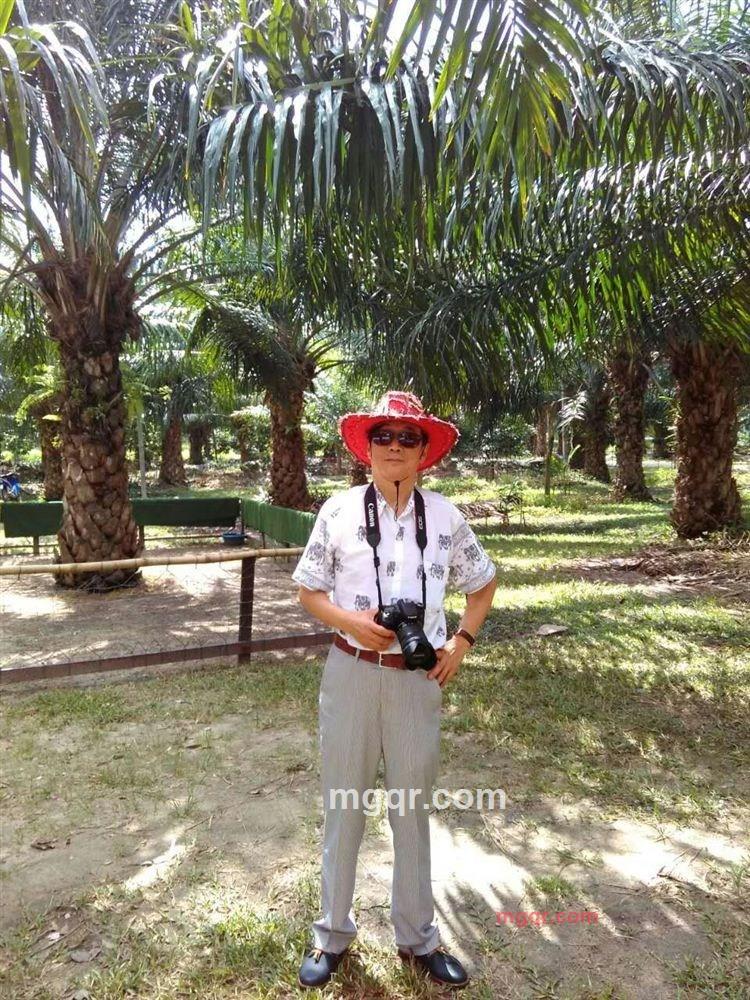 大海的第2张照片