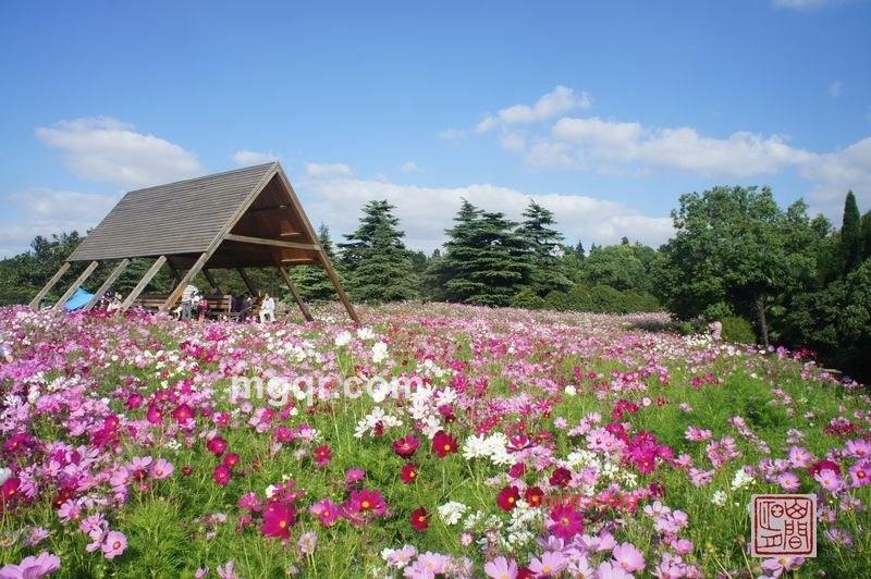 殊爱的第8张照片