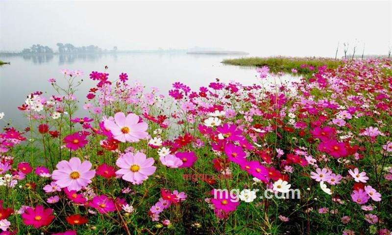 殊爱的第7张照片