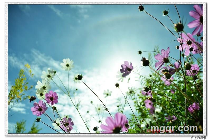 殊爱的第6张照片