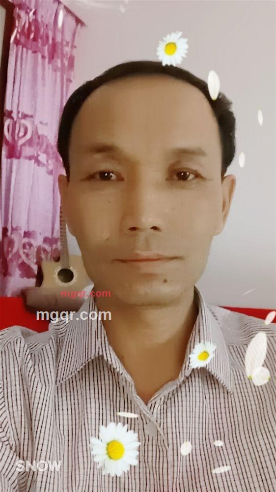 稳健的第1张照片