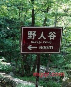 大鹏的第13张照片