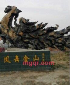 大鹏的第3张照片