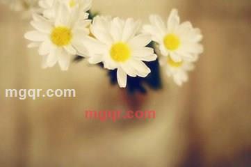 曾心的第1张照片