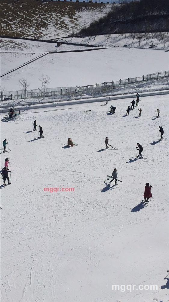 枯枝的第1张照片