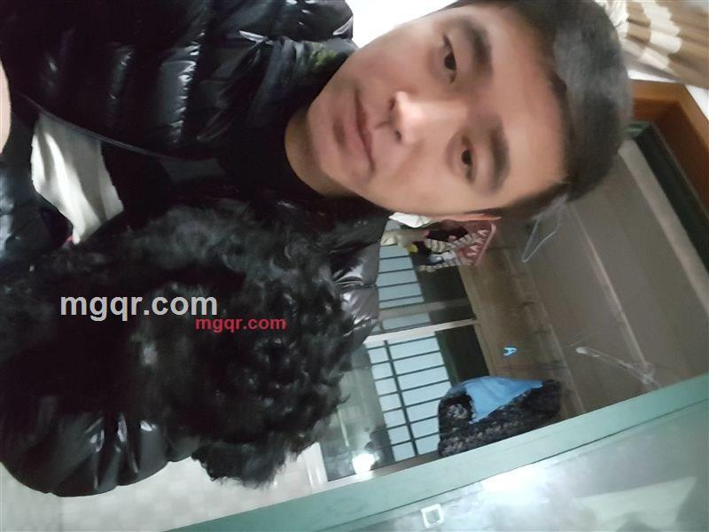 一天一点忘记的第1张照片