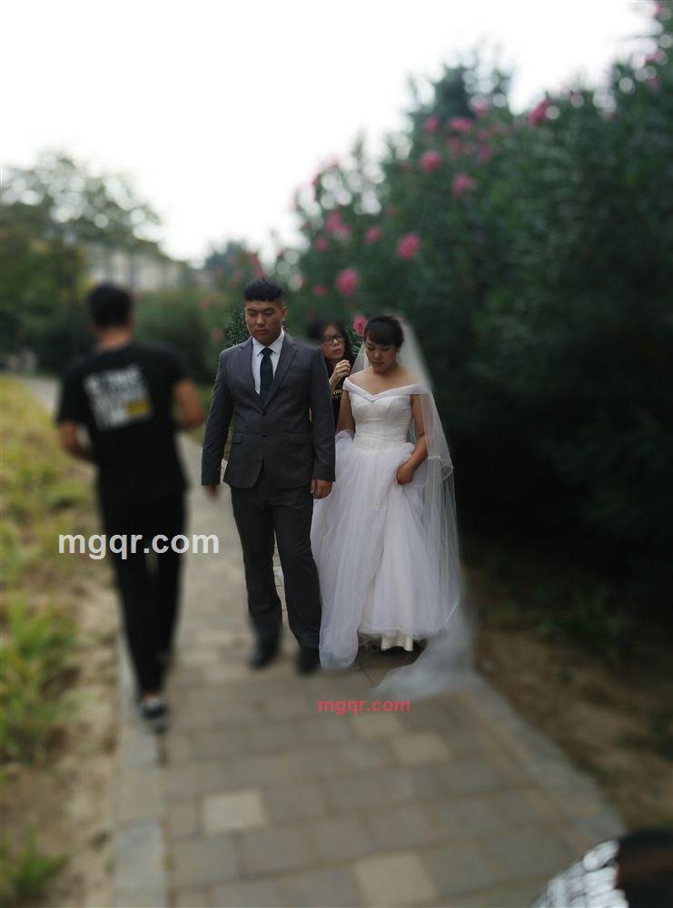 故人风的第4张照片