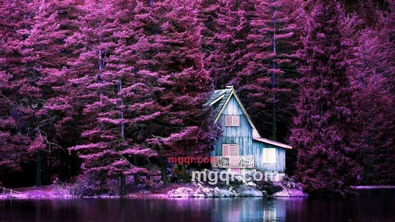 故人风的第1张照片