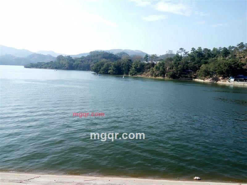 饿( ??? ? ??? )的第4张照片