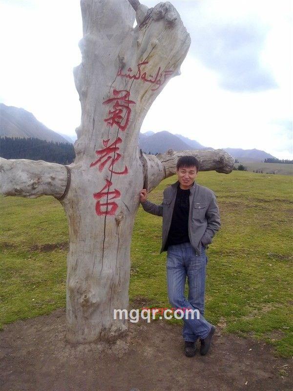 雪岭云杉的第3张照片