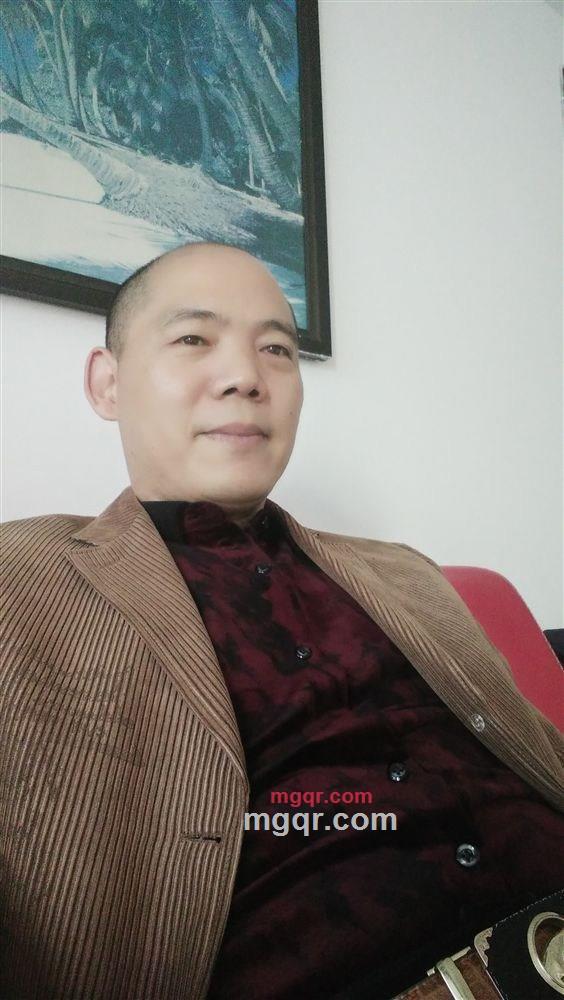 长青树的第1张照片