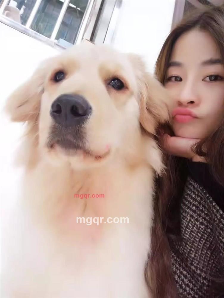 hj1314的第8张照片