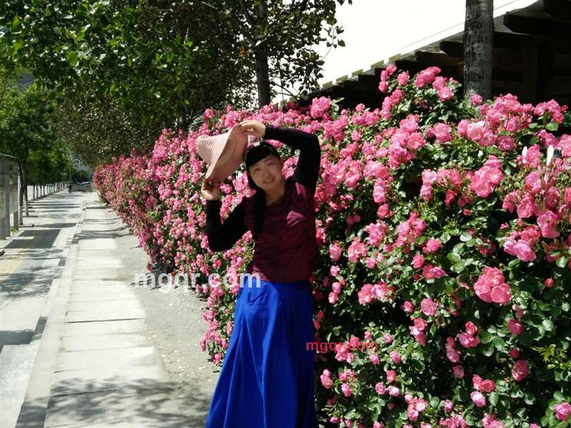 痴心女人的第2张照片