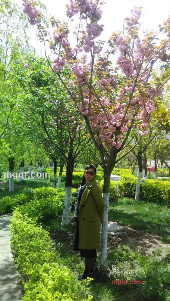 痴心女人的第1张照片