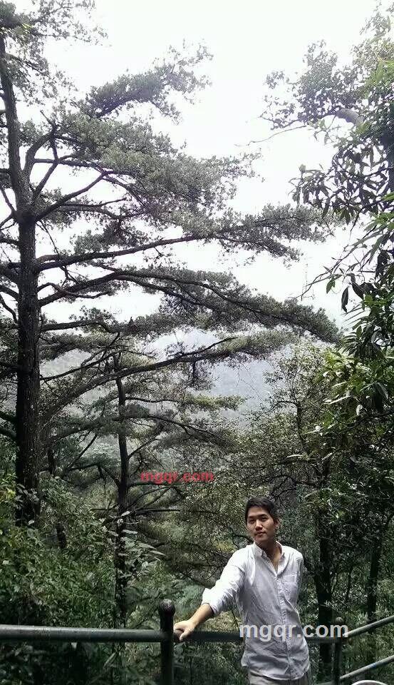 Inaction的第1张照片