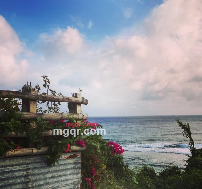 纯金玫瑰的第5张照片