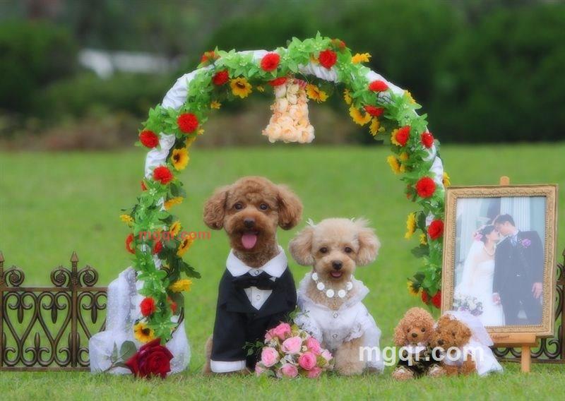 春天在哪里的第1张照片