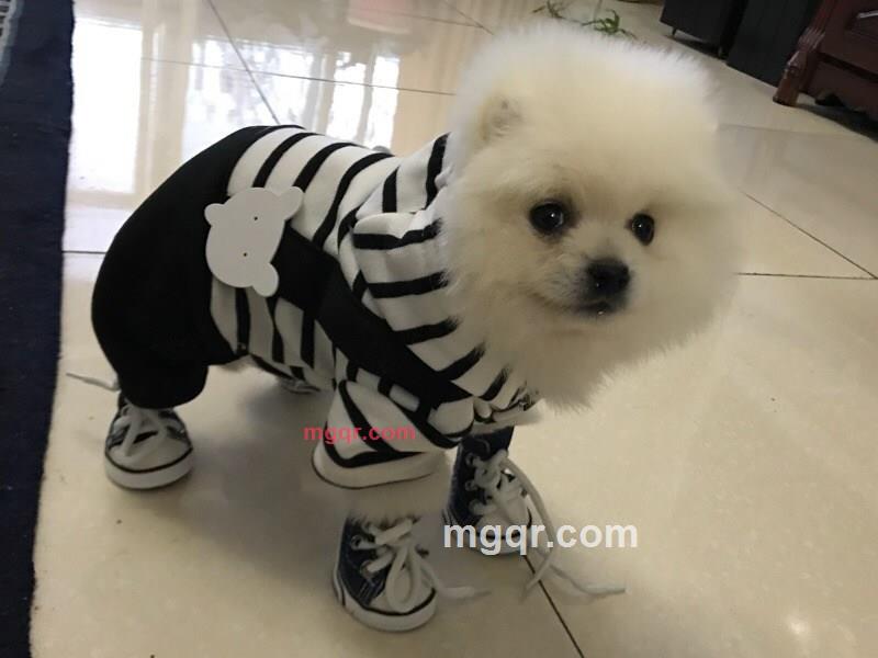 小萌悠的第1张照片