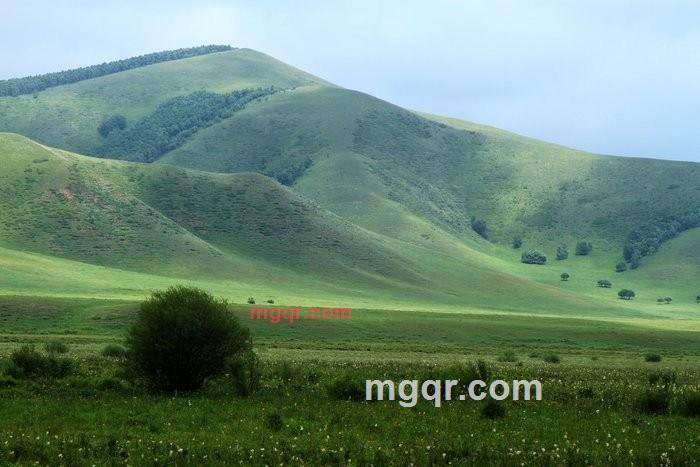 雅智儒风NJ的第2张照片