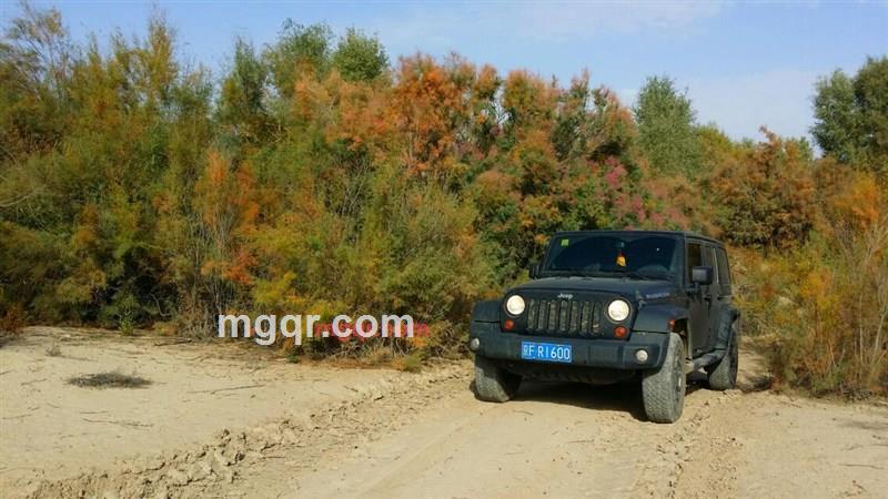 雅智儒风NJ的第1张照片