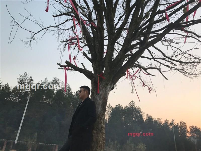 我非良人怎知你情深的第1张照片