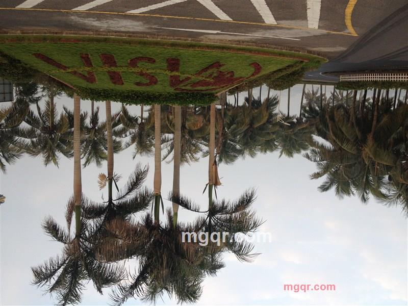 喜之郎中的第1张照片