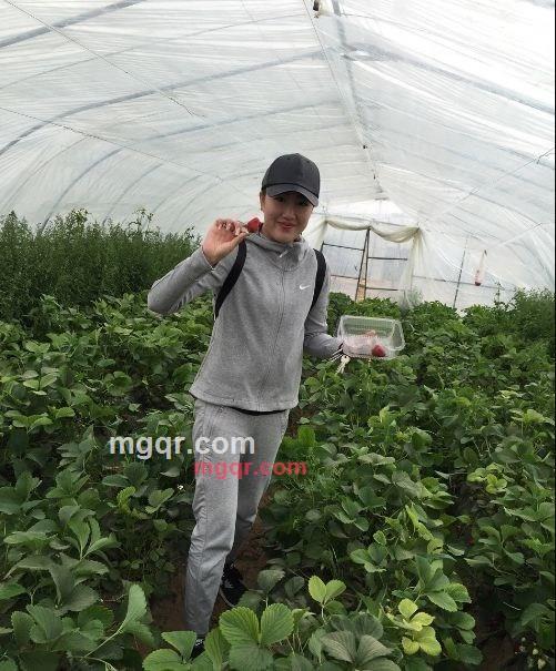 风和的第3张照片