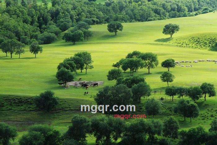 刚柔雅趣NJ的第2张照片