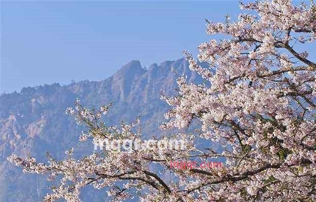 千万里追寻着你008的第1张照片