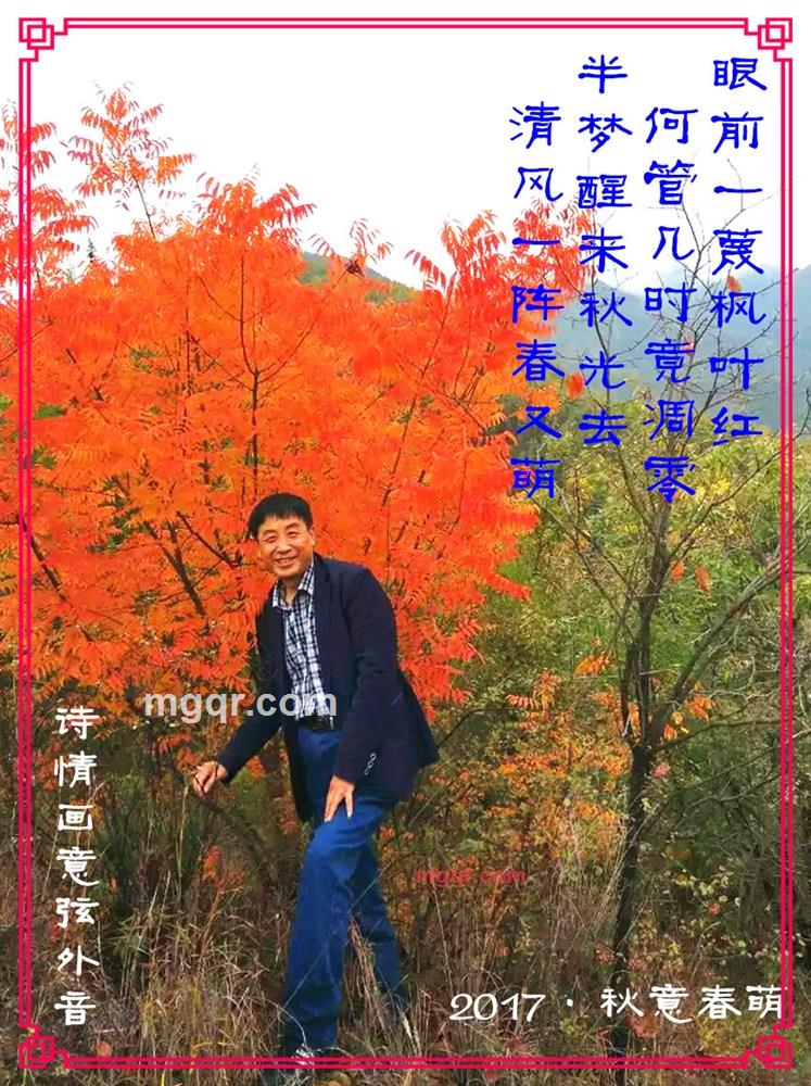 傲霜枝的第3张照片