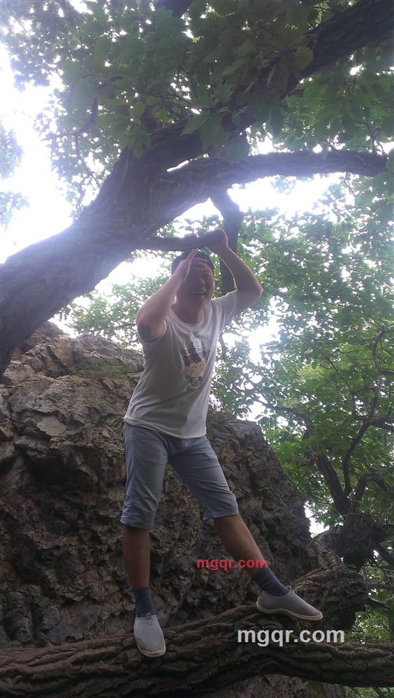 ytzh008的第2张照片