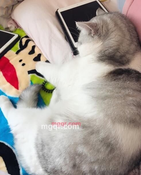 能在一起的心是缘分的第1张照片