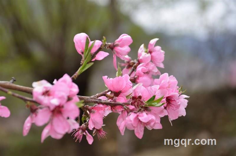 niuniu2468的第4张照片