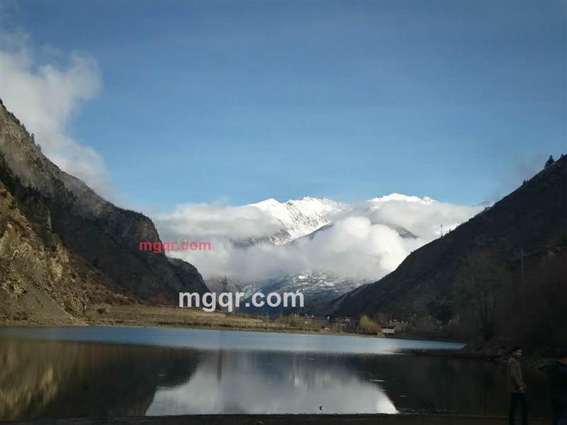 niuniu2468的第2张照片