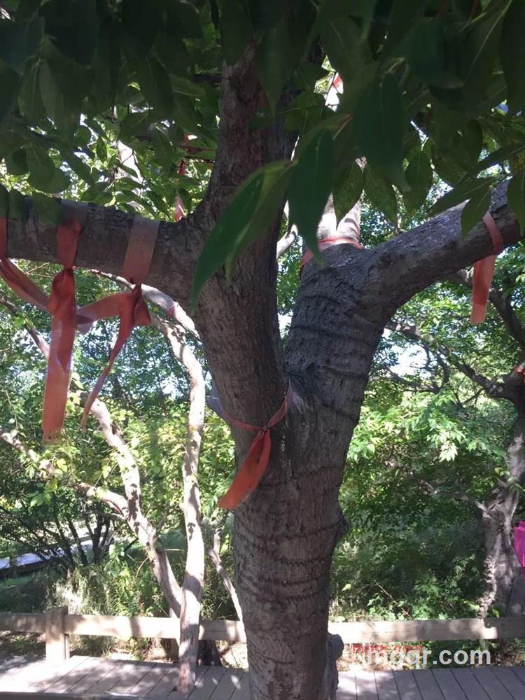 天道酬勤152的第1张照片