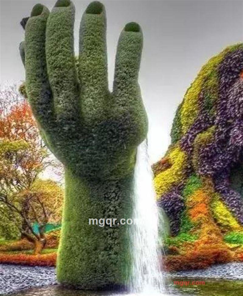 温床的第2张照片