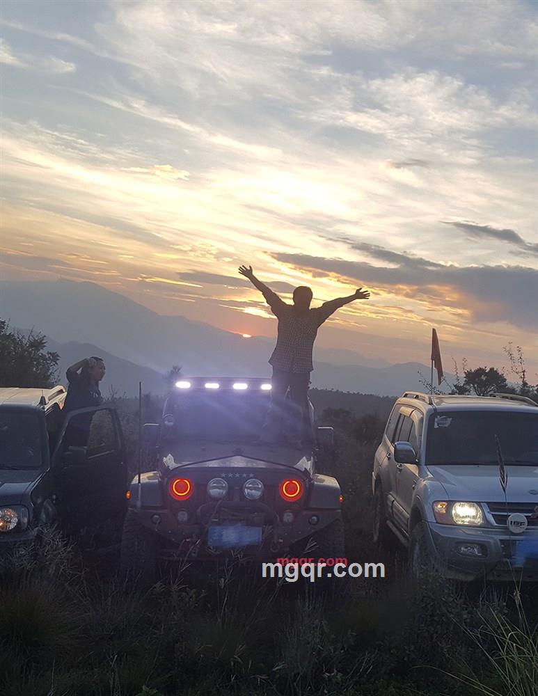 传情的眼睛的第3张照片