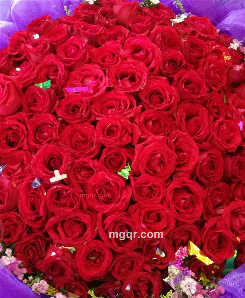 温床的第1张照片