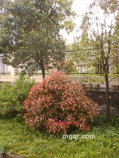 任强的第1张照片