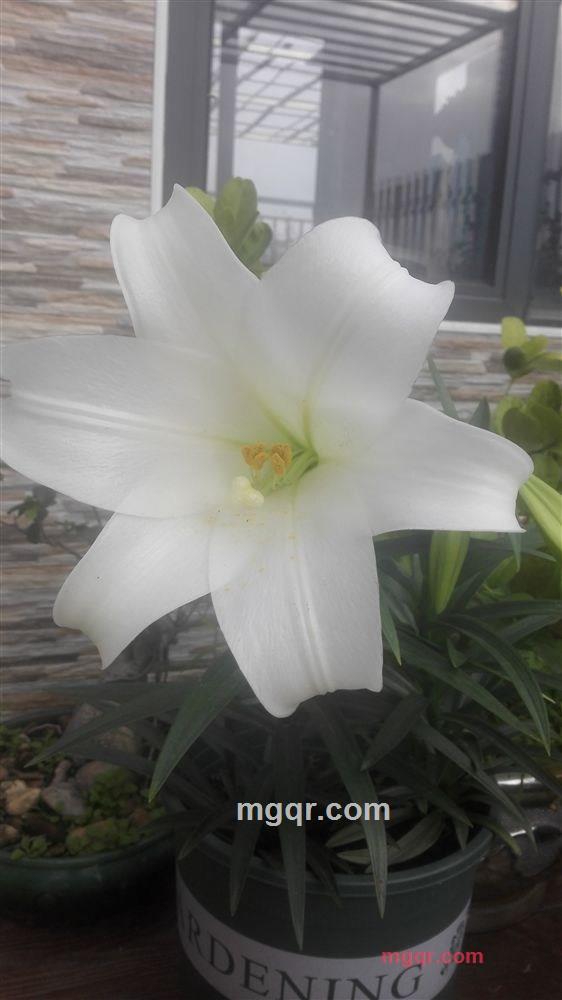 寻寻觅觅的第3张照片