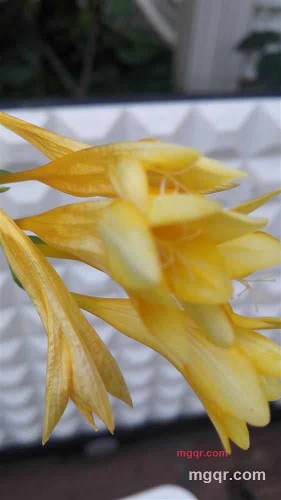 寻寻觅觅的第2张照片