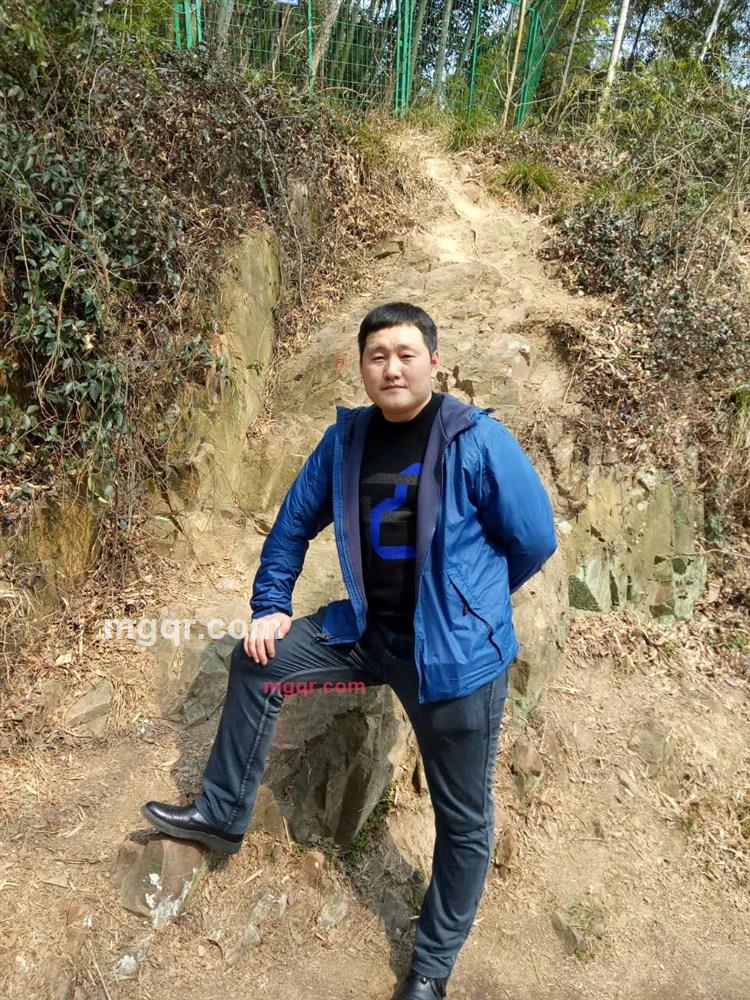 疯狂的蚂蚁的第10张照片