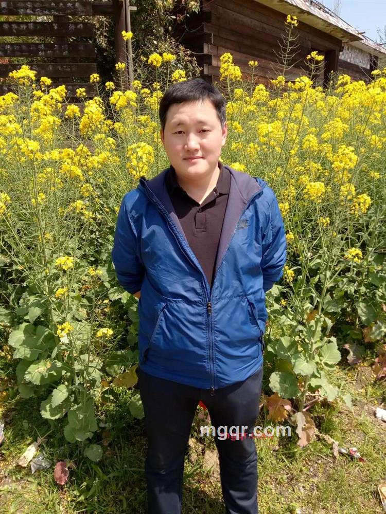 疯狂的蚂蚁的第6张照片