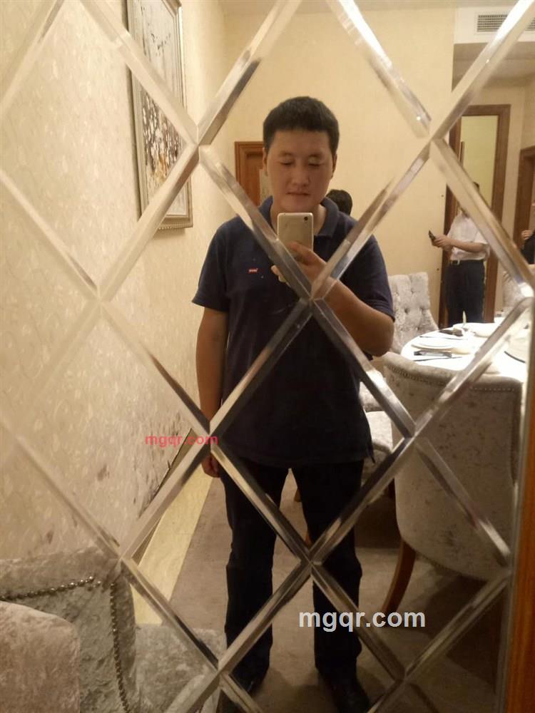 疯狂的蚂蚁的第5张照片