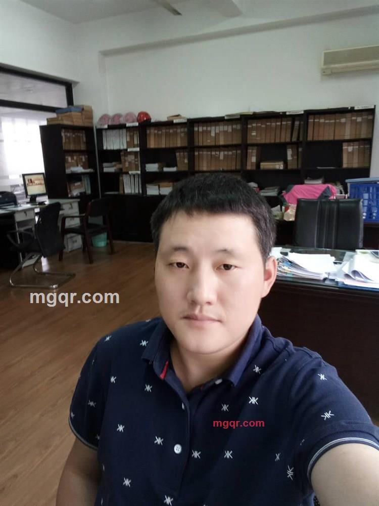 疯狂的蚂蚁的第4张照片