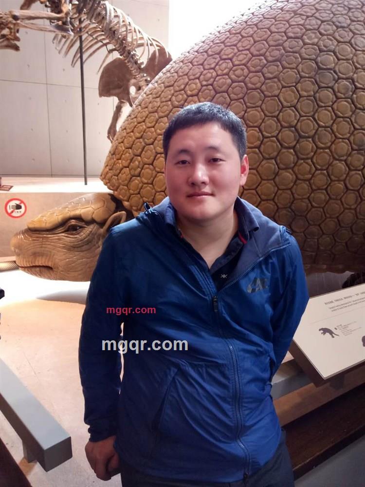 疯狂的蚂蚁的第3张照片